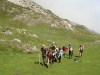 rando ane pyrenees